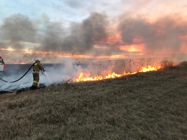 Лесные и степные пожары
