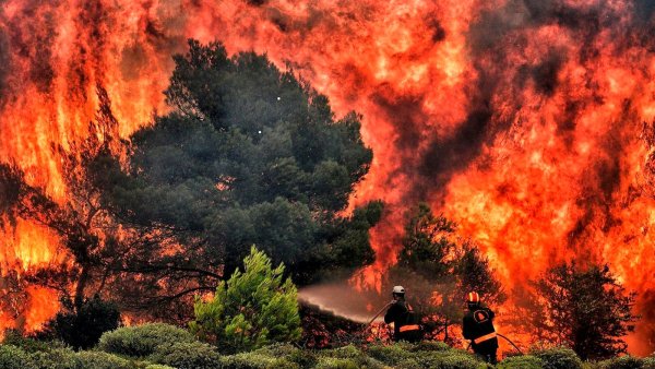 Лесные пожары трава
