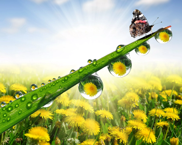 Счастливые девушки в желтом