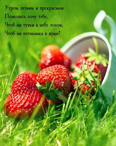 Мохито Куба