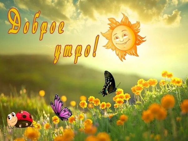 Доброе утро солнце