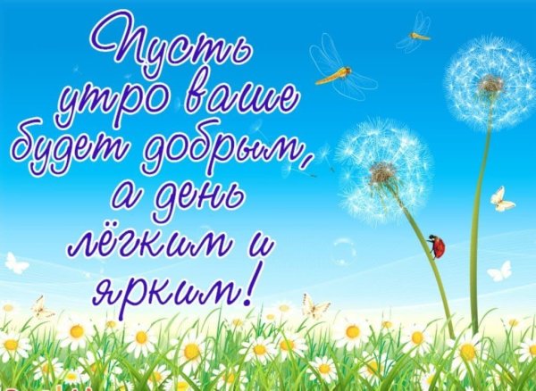 Доброе летнее утро