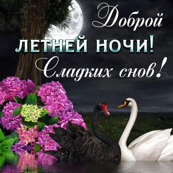 Доброй летней ночи