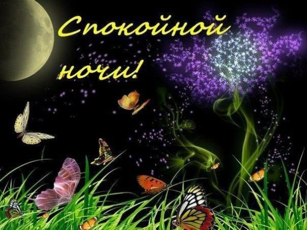 Спокойной весенней ночи