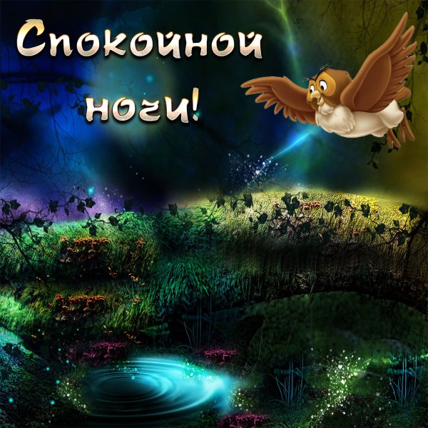Пожелания доброй ночи
