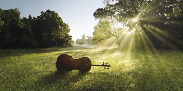 Музыкальный фон