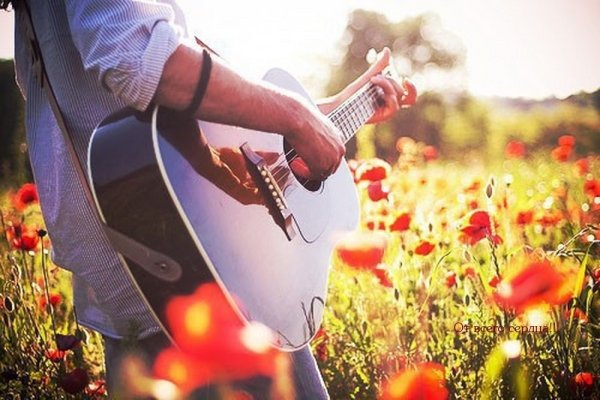 Гитара на природе