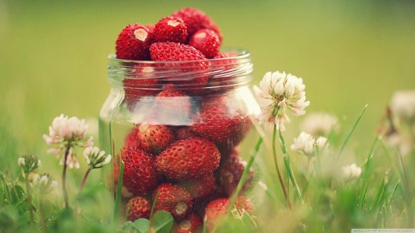 Вишня, ежевика, малина, клубника