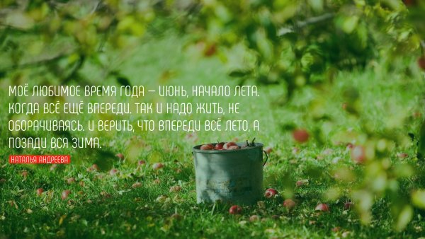 Доброе летнее утро августа