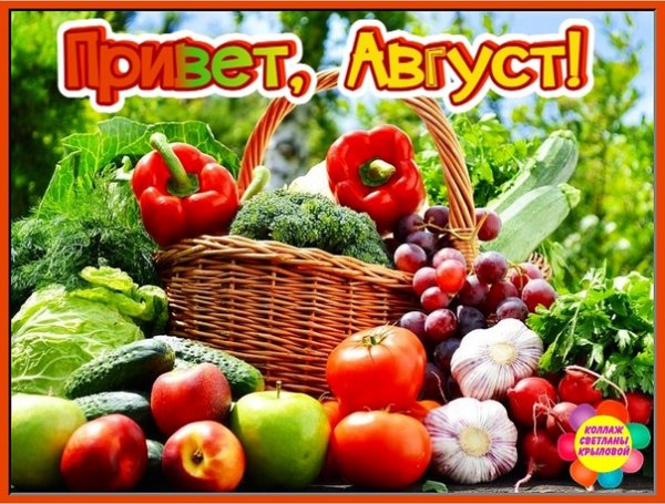 Доброе утро вот и пагуст