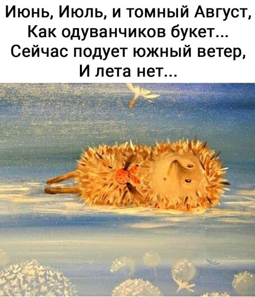 Лето проходит
