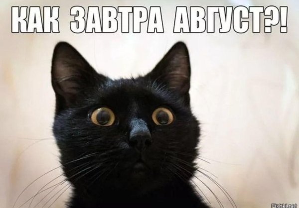 Июль приколы