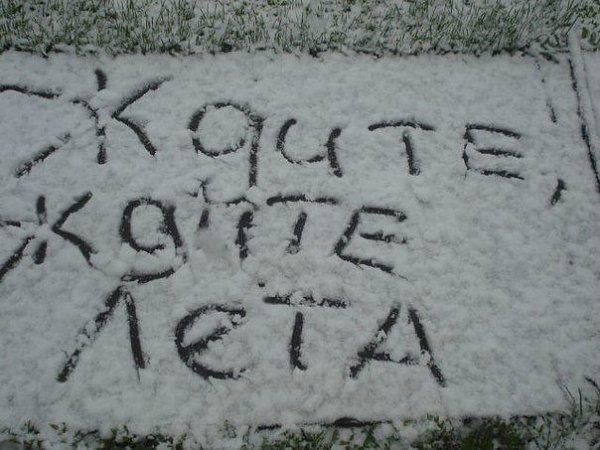 Кот мерзнет в снегу