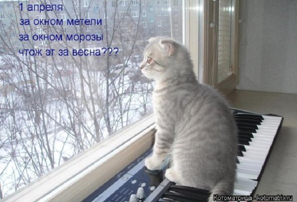 Красивые высказывания про море и отпуск