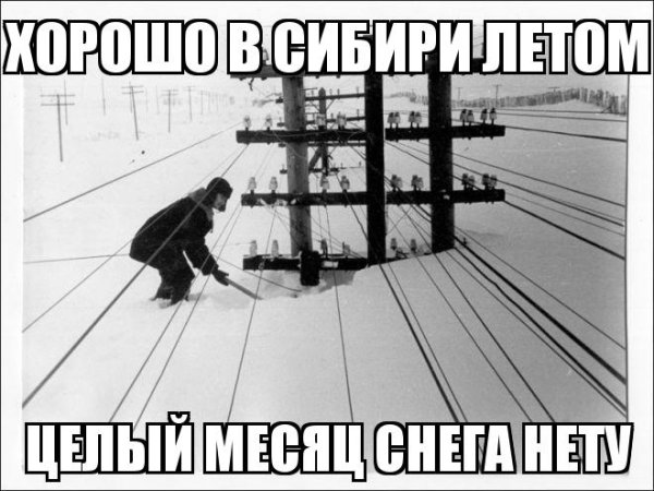 Лето в Сибири прикол