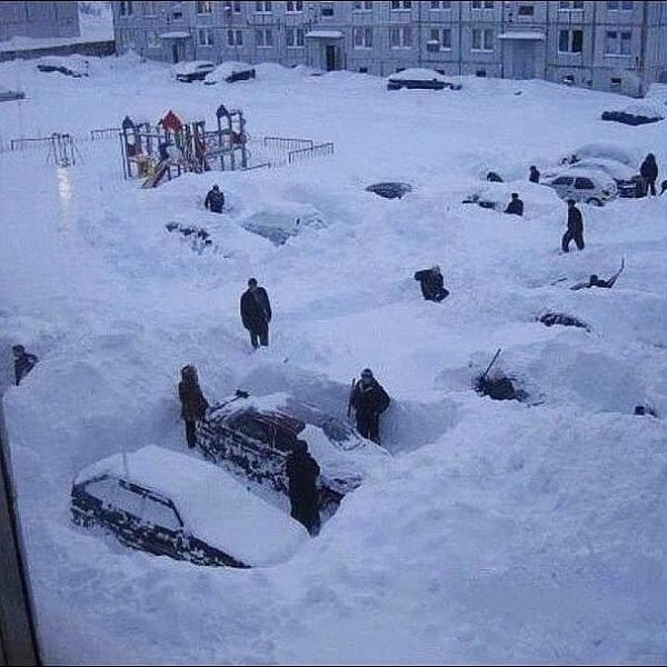 Снегу навалило прикольные