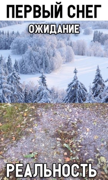 Первый снег ожидание и реальность