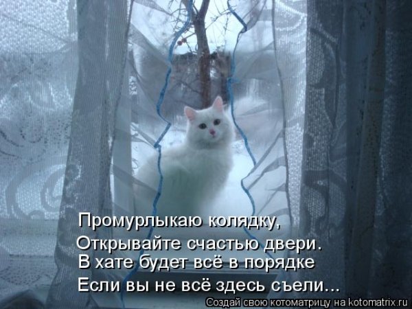 Стихотворение про зиму и кошку