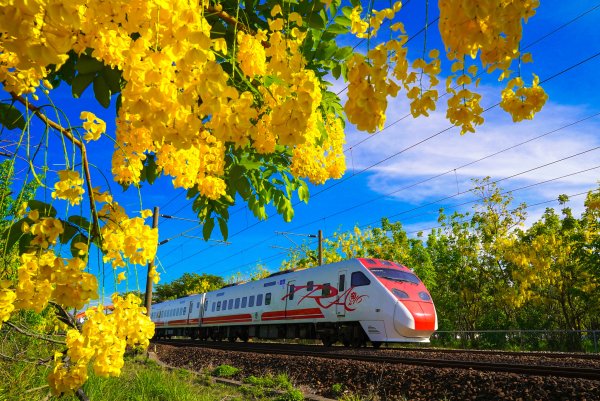 Весенний поезд