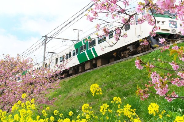 Цвет поезда