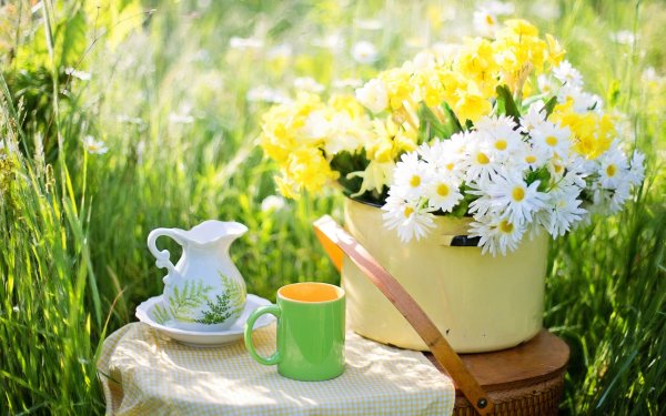 Доброе утро природа