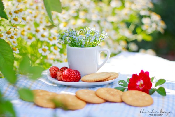 Доброе летнее утро