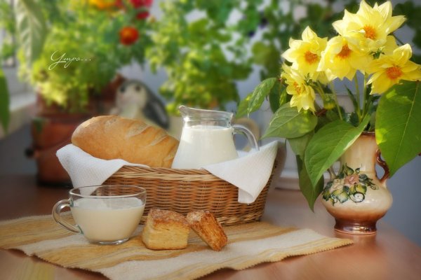 Летнее утро