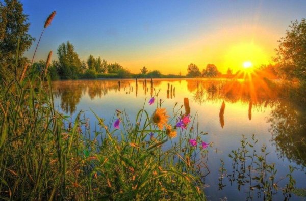 Рассвет летом