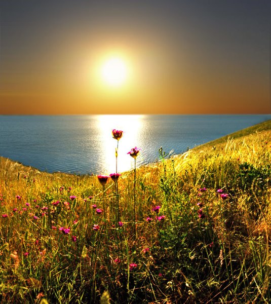 Утро природа