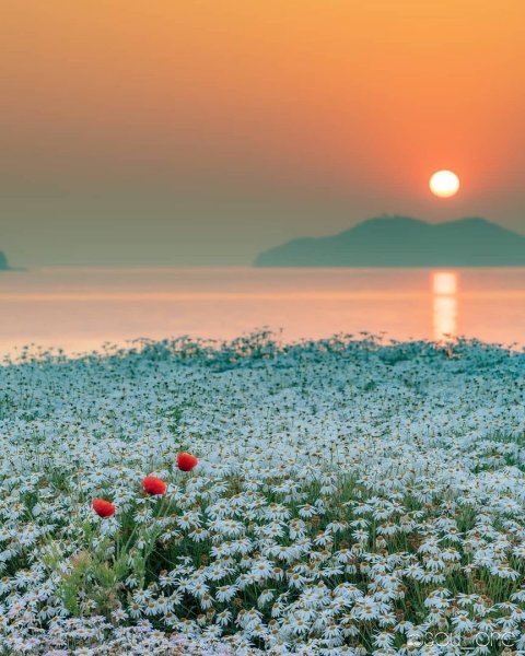 Доброе солнечное утро