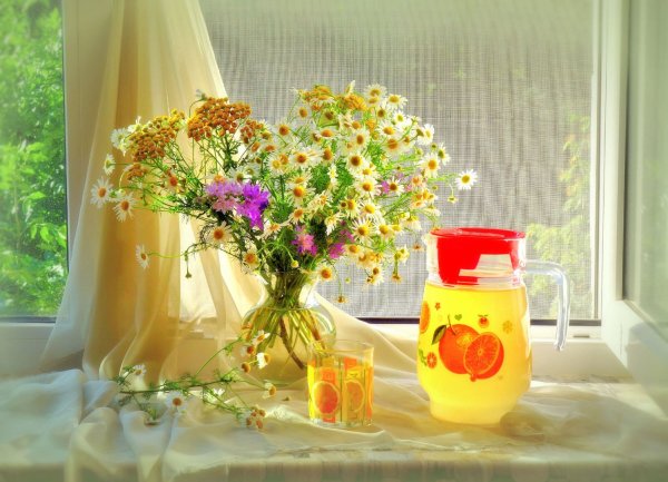 Птицы на рассвете