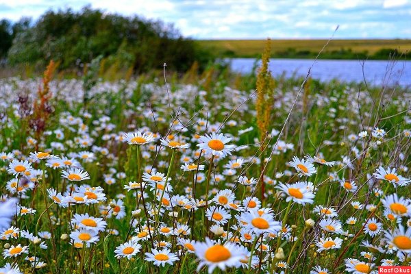 Воспоминания о лете надпись