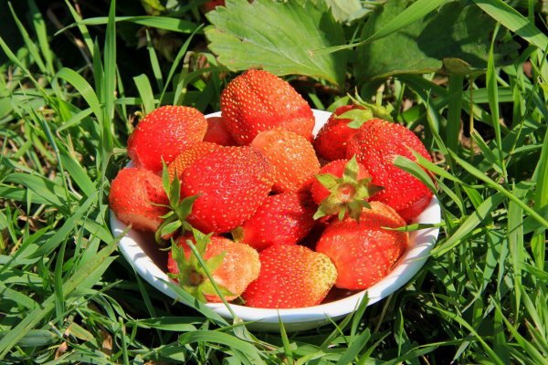 Лето надпись