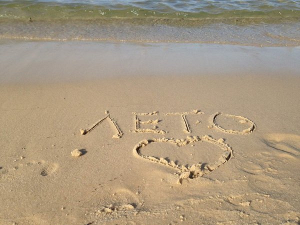 Цветы и солнце