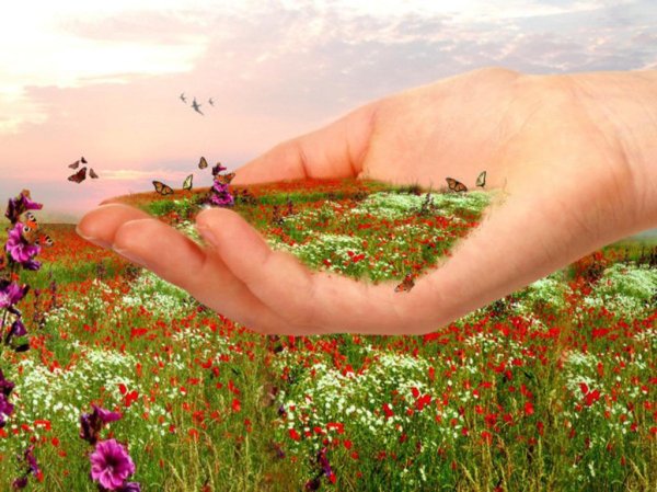 Позитивного летнего дня и хорошего настроения