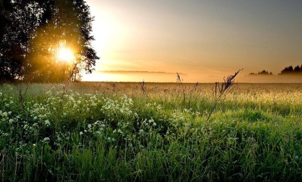 Позитивное лето