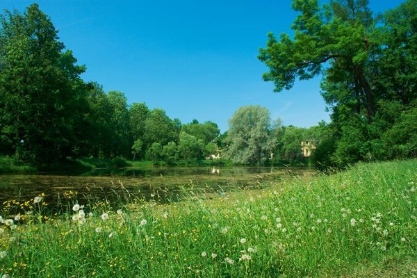 Радость природа