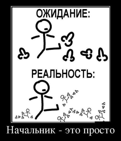 Планы на лето