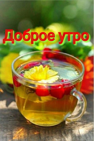 Доброго июльского дня