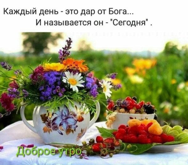 Открытки с добрым утром воскресенья