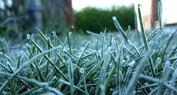 Заморозки летом