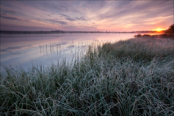Заморозки на почве