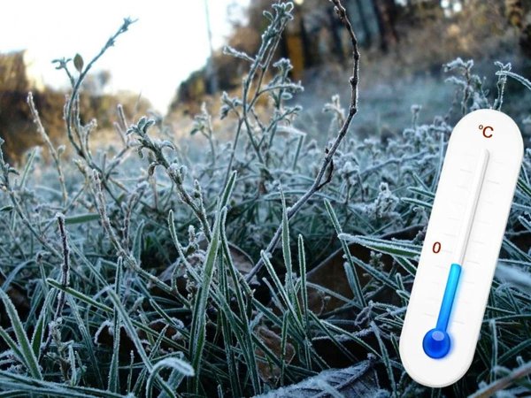 Заморозки на почве