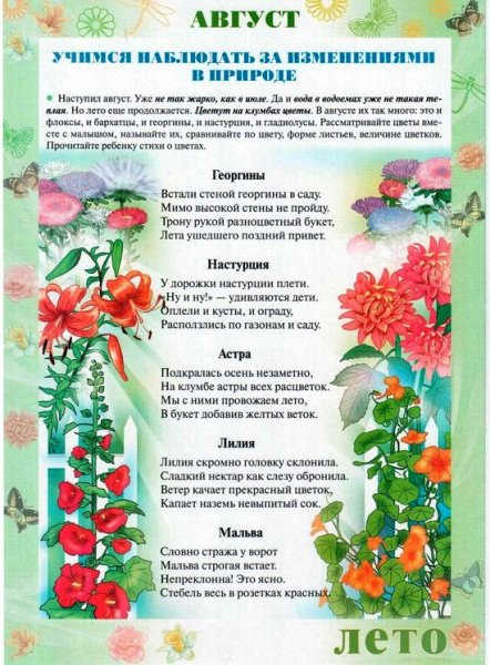 Стенд лето в детском саду