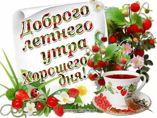 Поздравления с хорошим летним днем