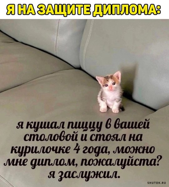 Доброе утро море