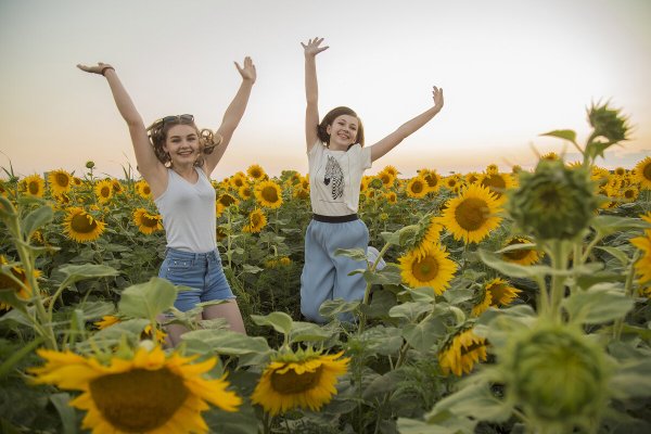 Кот на пляже