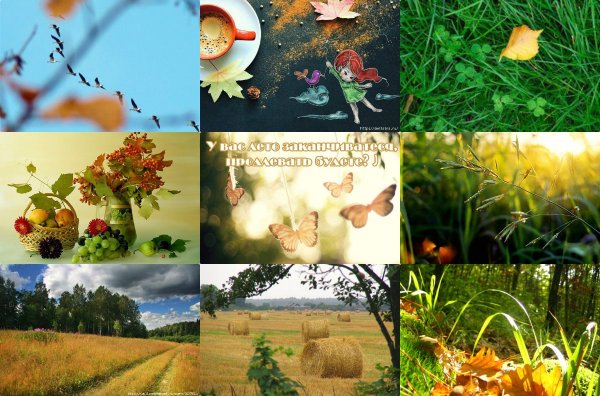 Бунин Шмель трава