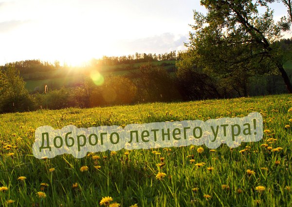 Доброе летнее утро