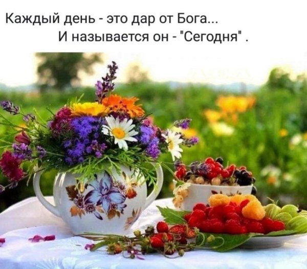 Доброва солнечного утро